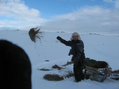 image001.jpg