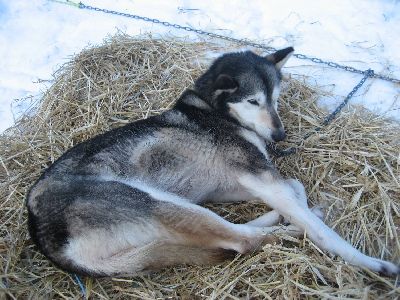 image001.jpg