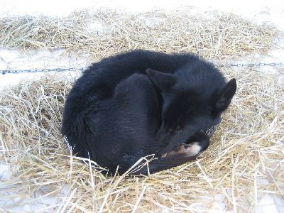 image001.jpg