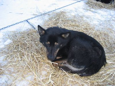 image002.jpg