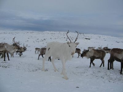 image001.jpg
