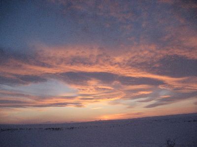 image003.jpg